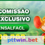 pttwin - Afiliados: Programa de Parceiros Article Image 1